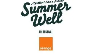 La Summer Well no. 6 sa stai cu ochii-n ?ASE dupa surprize!