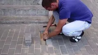Auzeau zgomote venind de sub treptele casei. Slava Domnului ca au scos cateva caramizi
