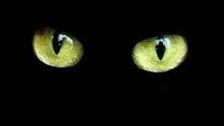 Cat de superstitios esti, in functie de zodia ta