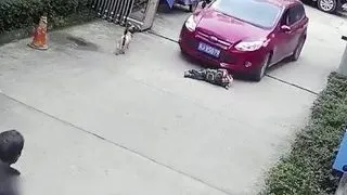 Un bebelus a fost calcat cu masina chiar in fata parintilor. Ce s-a intamplat apoi e de-a dreptul uluitor