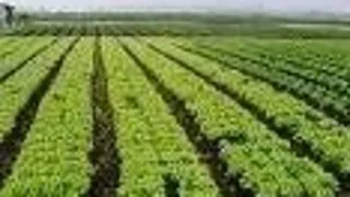 DOCTORAT TEHNOLOGIA PRODUSELOR AGROALIMENTARE, FACULTATEA DE HORTICULTURA UNIVERSITATEA DE STIINTE AGRICOLE SI MEDICINA VETERINARA IASI