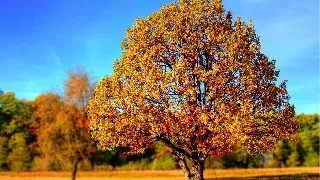 Vreme deosebit de calda la final de saptamana! Prognoza meteo pentru weekend