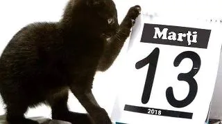 Marti 13 ? o zi plina de ghinioane! Cum te feresti de ele