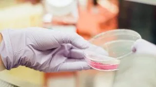 Primul transplant cu celule stem din Romania, pentru un copil cu autism