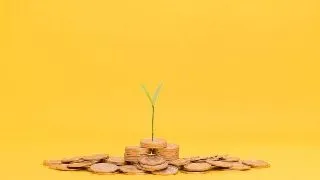 Dobanda de pana la 8% la titlurile de stat TEZAUR, in prima zi de primavara. De ce sa investesti in titluri de stat?