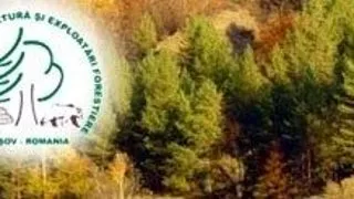 MASTER TEHNICI SI TEHNOLOGII DE EXPLOATARE SI TRANSPORT A LEMNULUI - UNIVERSITATEA TRANSILVANIA DIN BRASOV - FACULTATEA DE SILVICULTURA SI EXPLOATARI FORESTIERE