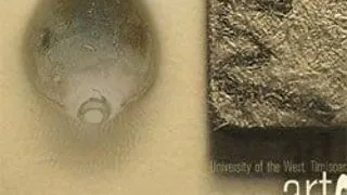 DOCTORAT ARTE VIZUALE - FACULTATEA DE ARTE PLASTICE - UNIVERSITATEA DE VEST DIN TIMISOARA
