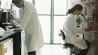 DOCTORAT HORTICULTURA - FACULTATEA DE HORTICULTURA - UNIVERSITATEA DE STIINTE AGRICOLE SI MEDICINA VETERINARA A BANATULUI