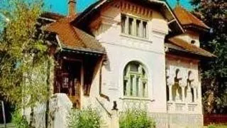 CASA MEMORIALA  MIHAI CODREANU DIN VILA SONET