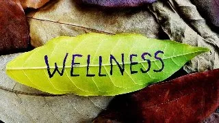 Serviciile din zona de wellness, din ce in ce mai cautate. Afacerile devin profitabile si in Romania