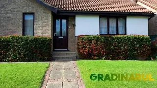 Gradinarul.ro lanseaza brandul Emerald Green Italia in Romania in martie 2024