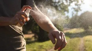 5 muscaturi comune de insecte. Cum le recunosti si ce este de facut