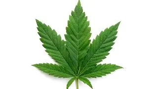 Cum poate e-liquidul cu CBD sa combata anxietatea si stresul cotidian?