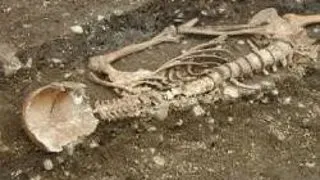 CARNAGIU VECHI DE 6000 DE ANI, SCOS LA LUMINA