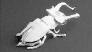 "MICROCOSM" DE PORTELAN