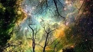 COLECTIA MINTE SI INIMA - EDITURA FLORI SPIRITUALE