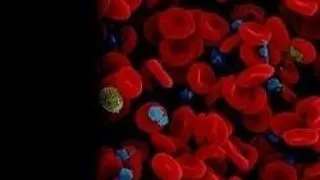 GLICEMIA -ANALIZA ZAHARURILOR DIN SANGE