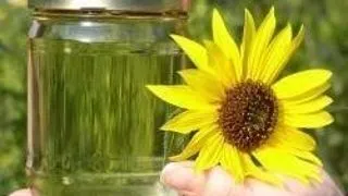 PHD IN BIO-DIESEL RESEARCH - TECHNICAL UNIVERSITY DENMARK