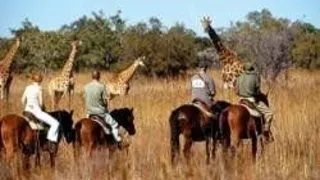 AFRICA DE SUD