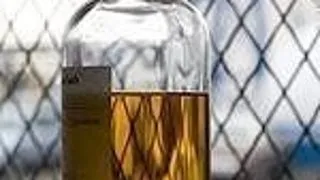 STATUL PUNE ACCIZA PE BIODIESEL