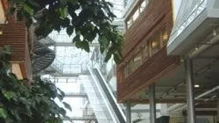 BI NORWEGIAN SCHOOL OF MANAGEMENT