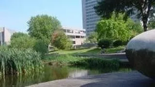 ERASMUS UNIVERSITY ROTTERDAM