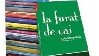 "LA FURAT DE CAI", UN ROMAN DESPRE NOSTALGIA INOCENTEI