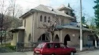 MUZEE DIN VALCEA