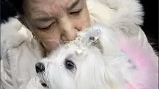 VIATA CU UN ANIMAL DE CASA