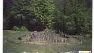 PARCUL NATURAL GRADISTEA MUNCELULUI - CIOCLOVINA