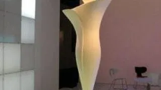 URMATORUL PAS HOLOGRAMA UMANA