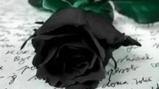DIARY OF PERSONAL FAILURES. TO YOU, MY DEAD LOVE