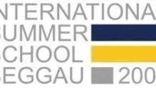 INTERNATIONAL SUMMER SCHOOL SEGGAU 2008