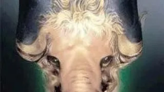 CAPRICORN (21 decembrie - 19 ianuarie)