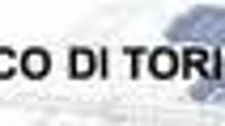 BURSA - INGINERIE TEXTILA LA UNIVERSITATEA POLITEHNICA DIN TORINO