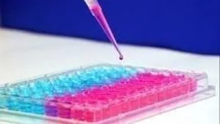TOT CE TREBUIE SA STII DESPRE TESTELE DE FERTILITATE