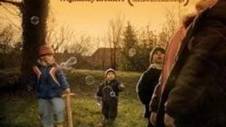 WIGHNOMY BROTHERS MIXEAZA METAWUFFMISCHFELGE