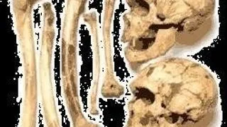 MISTERUL OMULUI DIN NEANDERTHAL