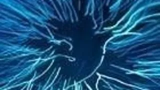 PODEAUA FUTURISTA 'FOOTLUME' LUMINEAZA LA FIECARE PAS