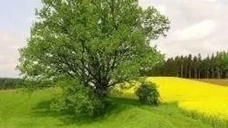 EURENSSA 2008 ROMANIA