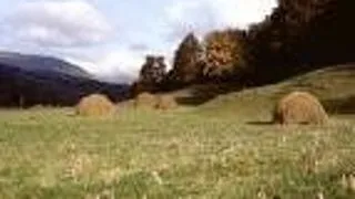 VACANTA LA CHEIA