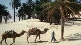 TUNISIA, DESTINATIE EXOTICA LA PRET REDUS