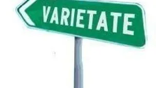 Conferinta internationala "DYACIT - Dezvoltarea creativitatii tinerilor adulti prin intermediul tehnologiilor informatice"