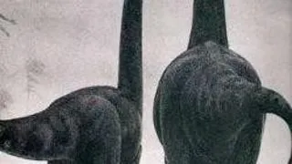 SCHELETUL UNUI DINOZAUR PITIC A FOST DESCOPERIT IN ZONA HATEGULUI
