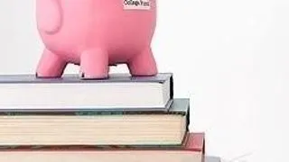 PROGRAMUL DE STAGII DE PRACTICA  LA  BANCA ROMANEASCA
