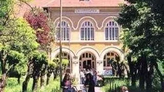 DOCTORAT 2008 - INGINERIA MEDIULUI - UNIVERSITATEA DIN BACAU
