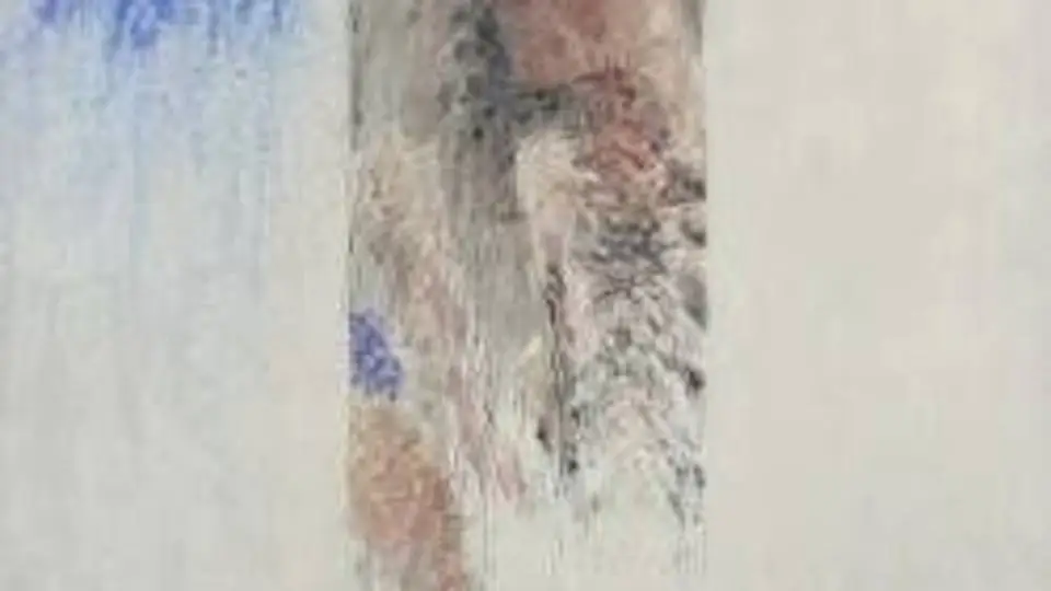 1/14093