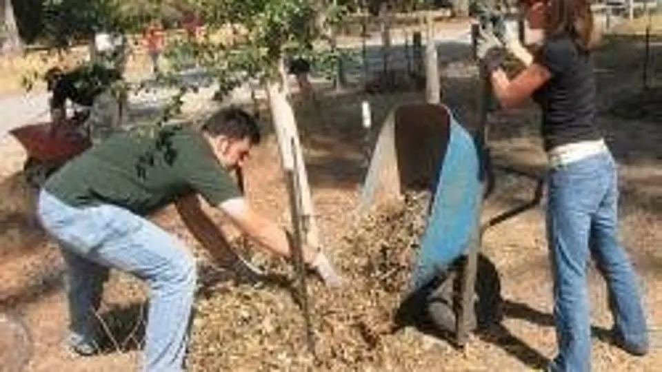 1/14693