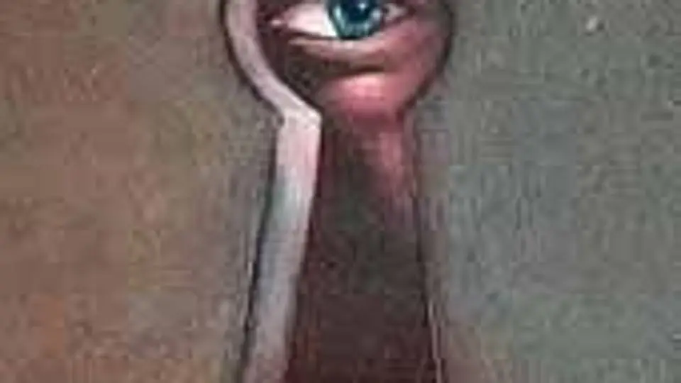 1/1643