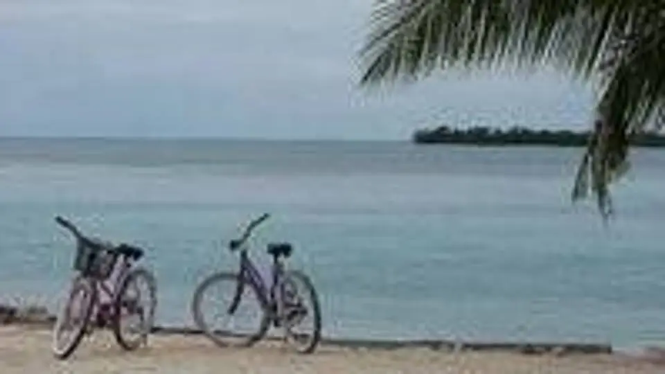 1/18838